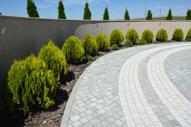 Best Commercial Driveway Pavers  in Commerce, TX